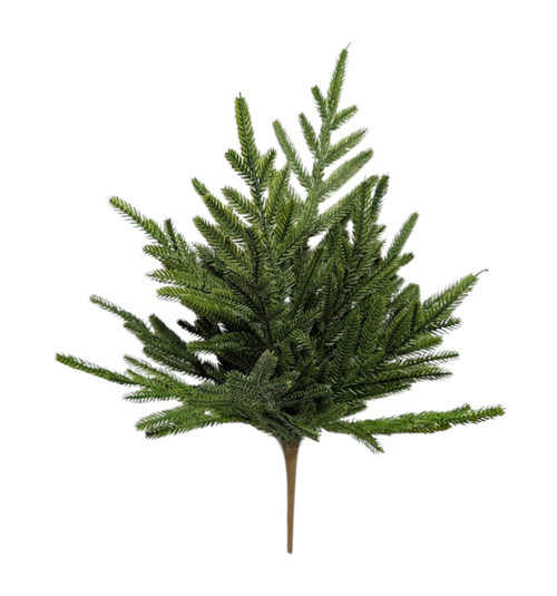 Norfolk Pine Pick Norfolk Pine Pick