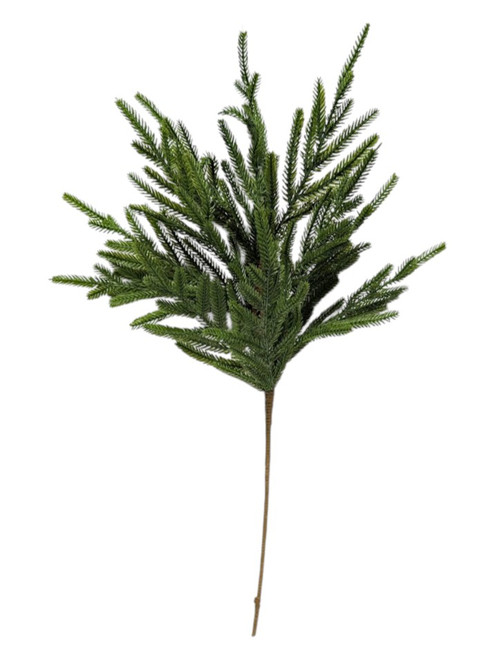 Norfolk Pine Spray Norfolk Pine Spray