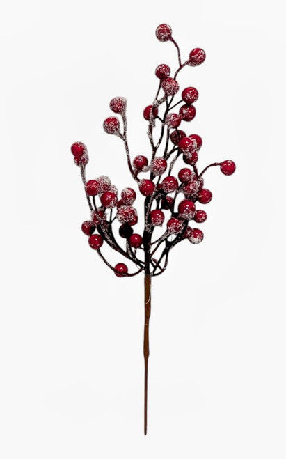 Snowy Red Berry Pick Snowy Red Berry Pick