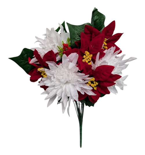 White & Red Poinsettia Mum Bush White & Red Poinsettia Mum Bush
