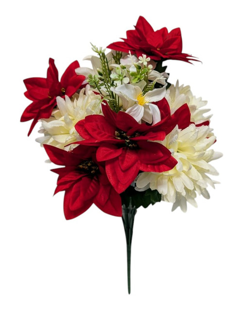 Red & Cream Poinsettia Mum Bush Red & Cream Poinsettia Mum Bush