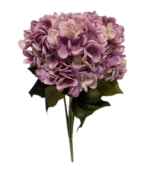 Dusty Lavender Hydrangeas Dusty Lavender Hydrangeas