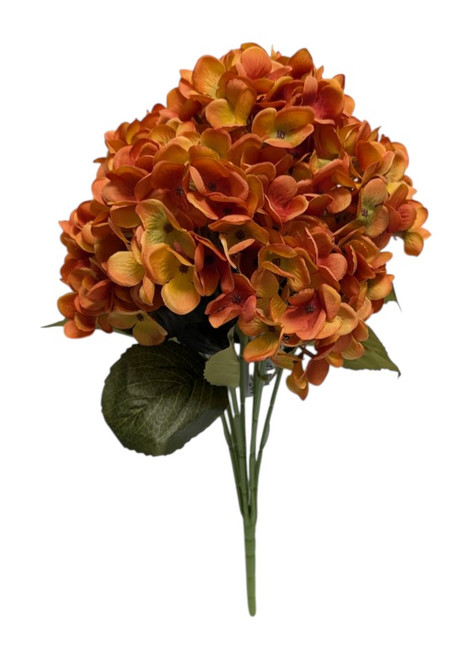 Dusty Burnt Orange Hydrangeas Dusty Burnt Orange Hydrangeas