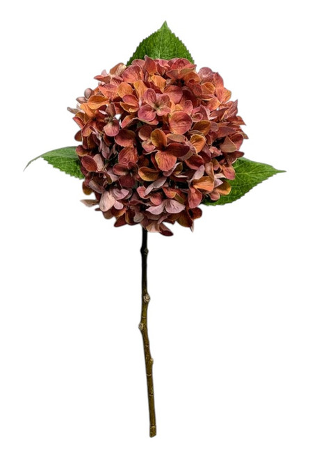 Vintage Hydrangea Stem - Copper