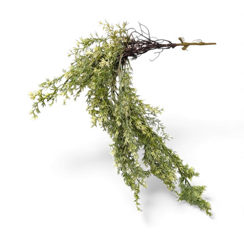 Faux Variegated Sedum Trailing Bush