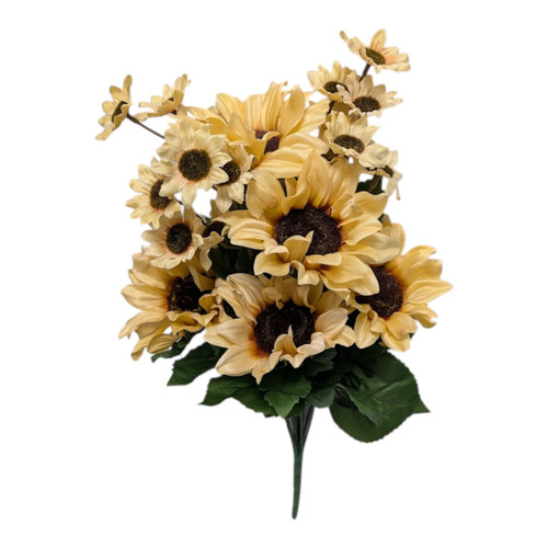 Almond Mixed Sunflower Bush