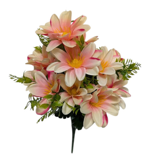 Two-Tone Pink Spring Dahlias