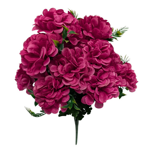 Fuchsia Snowball Bush