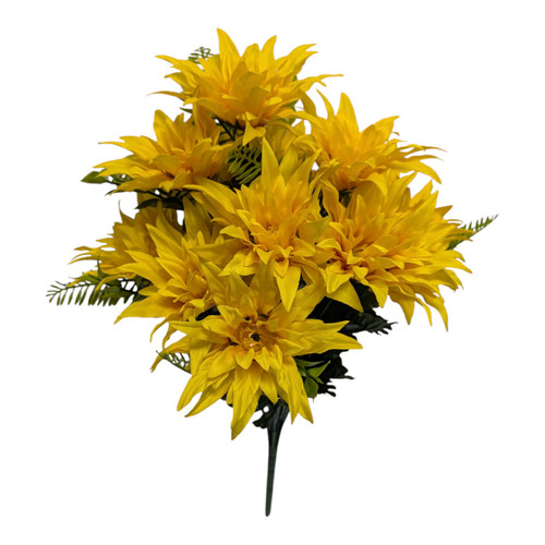 Yellow Wild Dahlia Bush