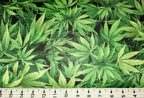 Marijuana Cannabis Leaf Green Cotton Fabric - NATURE-C3819 **Pre-order Only**