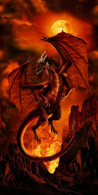 Dragon Fire 24" x 44" Digital Fabric Panel