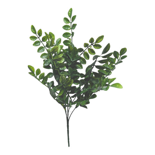 Wisteria Leaves Greenery Bush