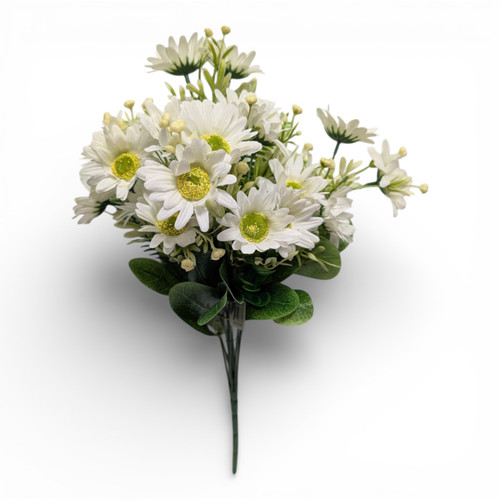 White Wildflower Daisies