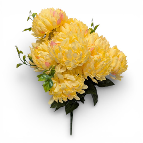 Pastel Yellow Mums with Pink Highlights