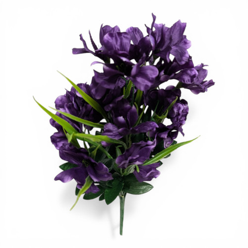 Deep Purple Iris Bush