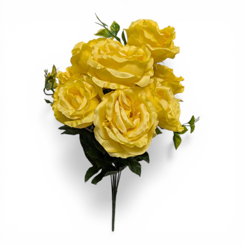 Soft Butter Yellow Cabbage Roses