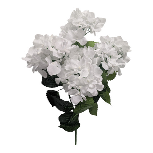 White Hydrangea Bush