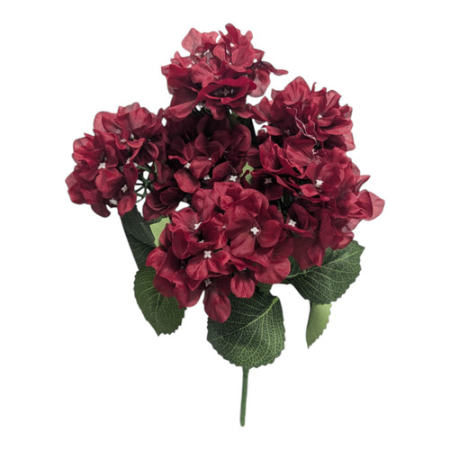 Dark Red / Burgundy Hydrangea Bush
