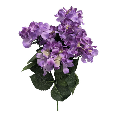 Purple Hydrangea Bush