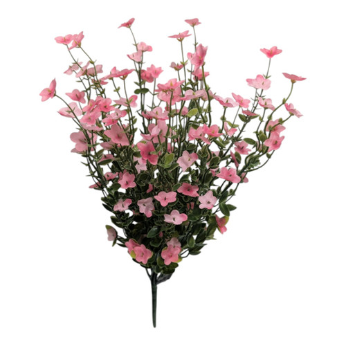 Pink Forget-Me-Not Petite Wildflowers