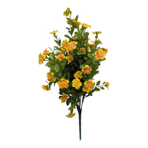 Yellow Meadow Wildflower Blooms
