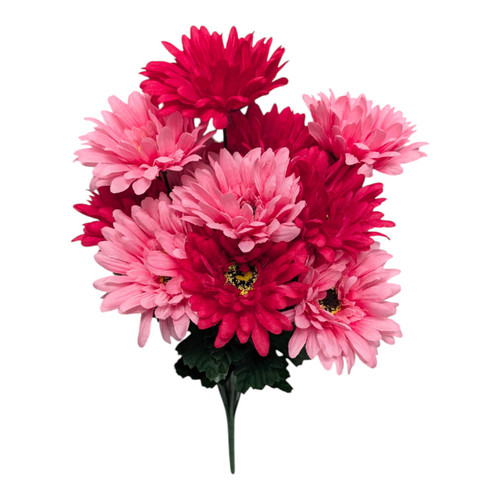 Shades of Pink Gerber Daisies (Beauty Pink)