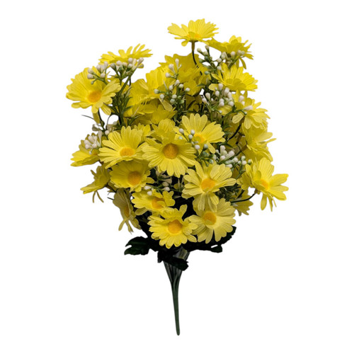 Yellow Wildflower Daisies