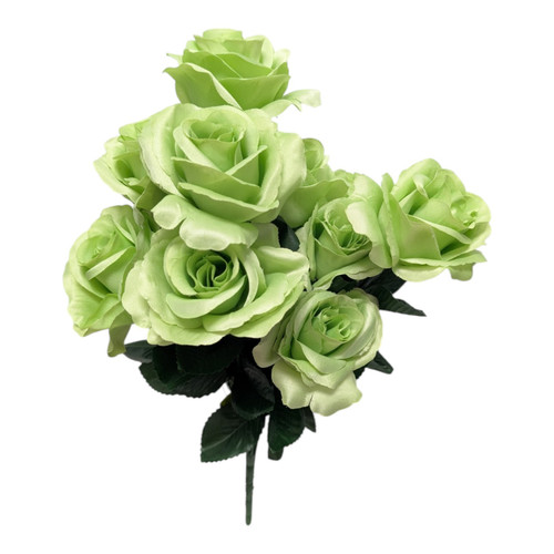 Colorfast Open Lillian Rose Bush - Light (Pastel) Green