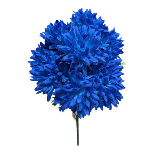 Bright Blue Mum Bush