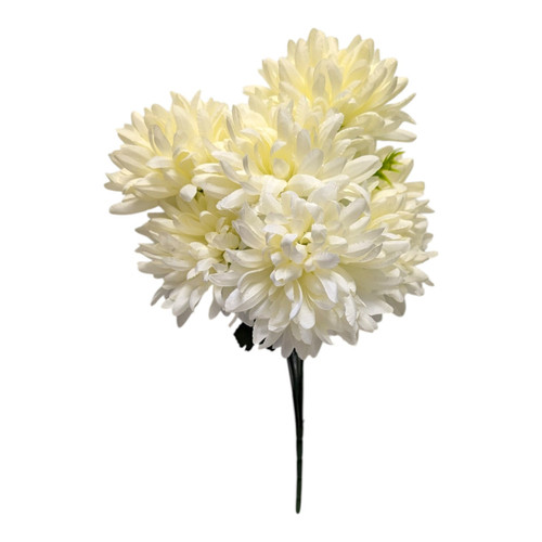 Cream Mum Bush