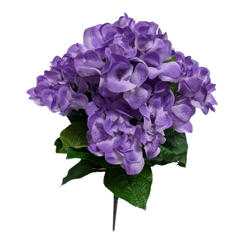 Purple Hydrangea Bush