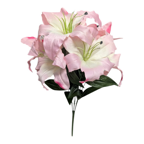 Soft Pink / Cream Tiger Lilies