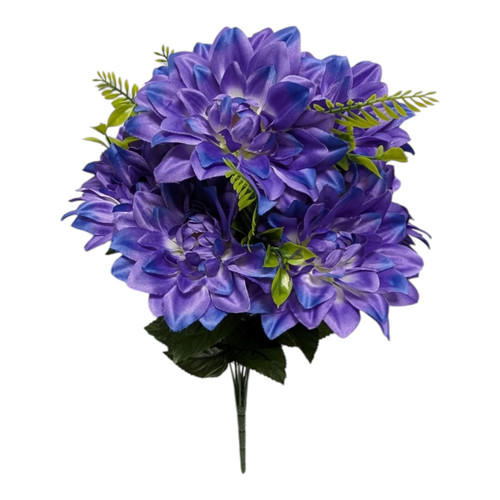 Purple with White Dahlias