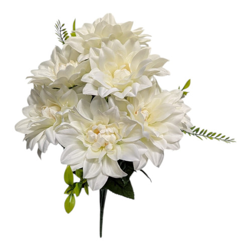 Sweet Cream Dahlias