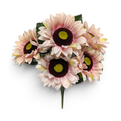 Blush Pink Sunflower Bush