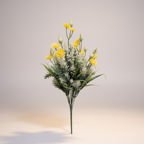 White Tipped Rosemary Bush with Yellow Flowers