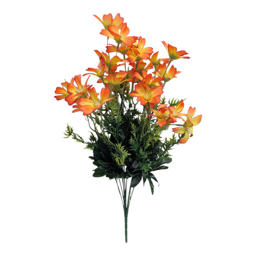 Orange Blossom Bush