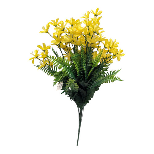 Soft Yellow Tweedia Fern Bush