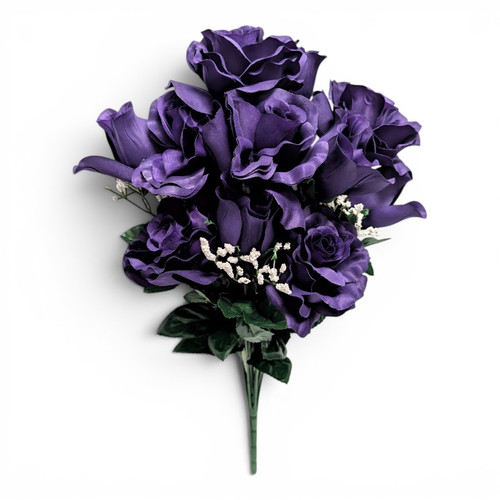 Midnight Purple Kaylah Rose Bush