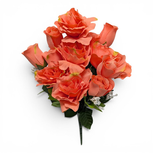 Peach Kaylah Rose Bush