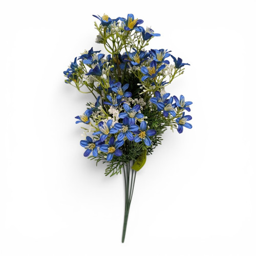 Royal Blue Starflower Blossom Bush