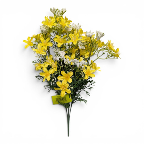Yellow Starflower Blossom Bush