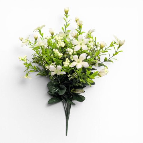 Cream Star Flower Berry Bush