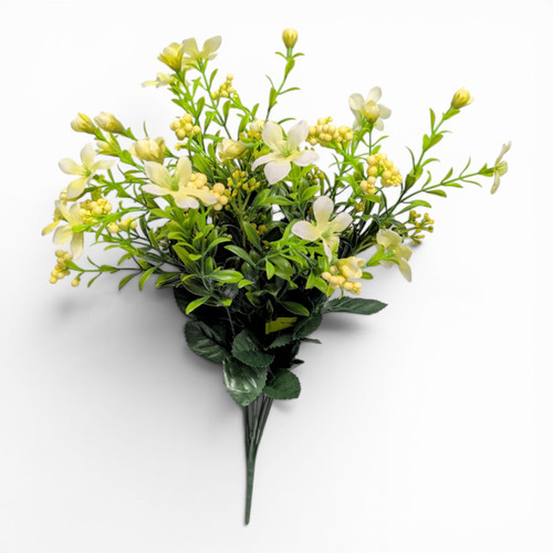 Pale Yellow Star Flower Berry Bush