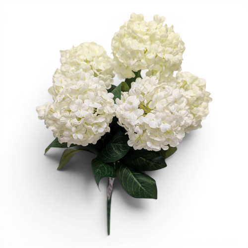 Snowball Bush - Cream