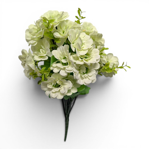 Cream Zinnia Bush