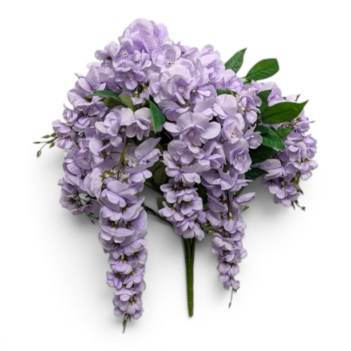 Lavender Full Wisteria Bush