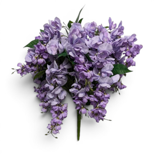 Purple Full Wisteria Bush