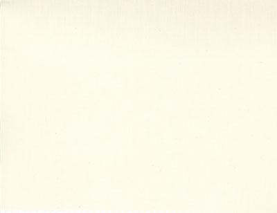 108" Wide Natural Muslin Cotton Quilt Backing Fabric