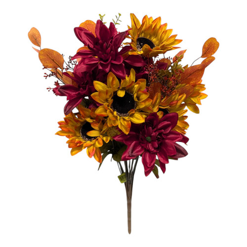 Burgundy & Gold Sunflower Dahlia Mixed Bush